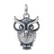 Pendentif Hibou d' Acier