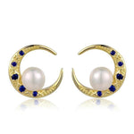 Silver Crescent Moon Earrings - Vignette | Steampunk Store