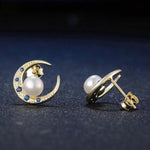 Silver Crescent Moon Earrings - Vignette | Steampunk Store