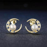 Silver Crescent Moon Earrings - Vignette | Steampunk Store