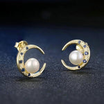 Silver Crescent Moon Earrings - Vignette | Steampunk Store