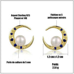 Silver Crescent Moon Earrings - Vignette | Steampunk Store