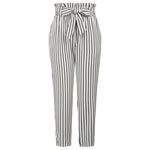 Pantalon Steampunk Chino Rayé - Vignette | Steampunk Store