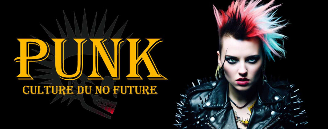 Le Punk : Musique et Culture du No Future