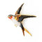 Broche Oiseau Ancienne - Chant Vintage