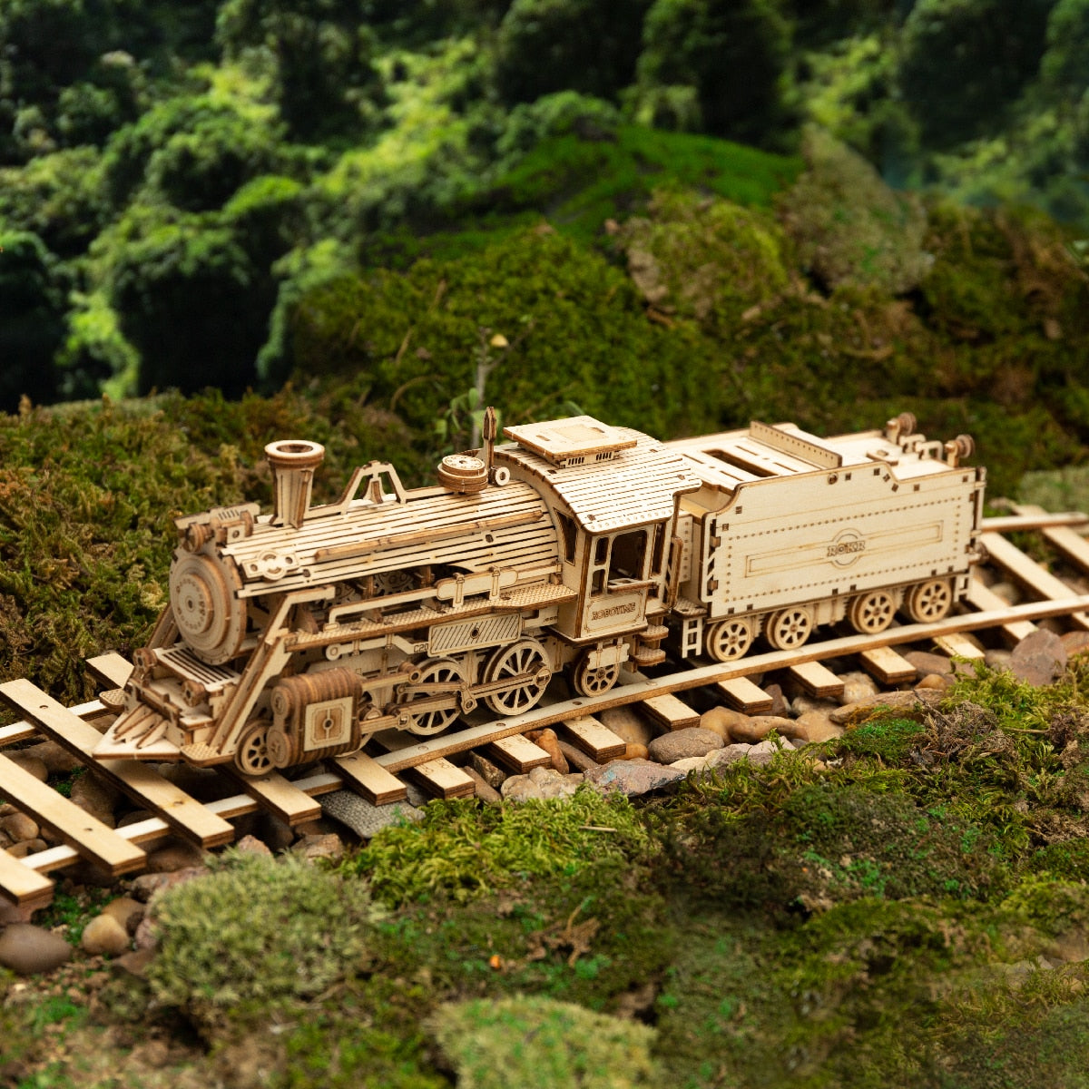 Maquette Bois Train présentation