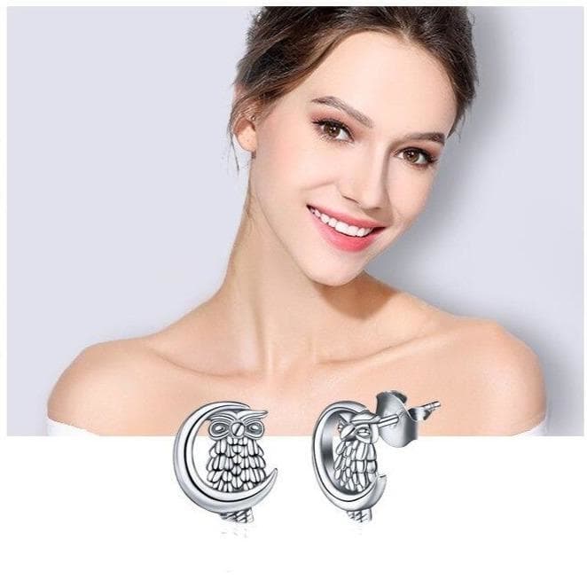 Boucles d Oreilles Hibou Argent présentation